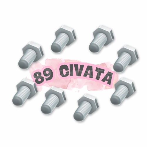 89 ADET CIVATA 89 ADET CIVATA