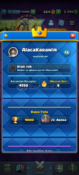 9 bin kupa 12 evrim 5bin taşlı hesap