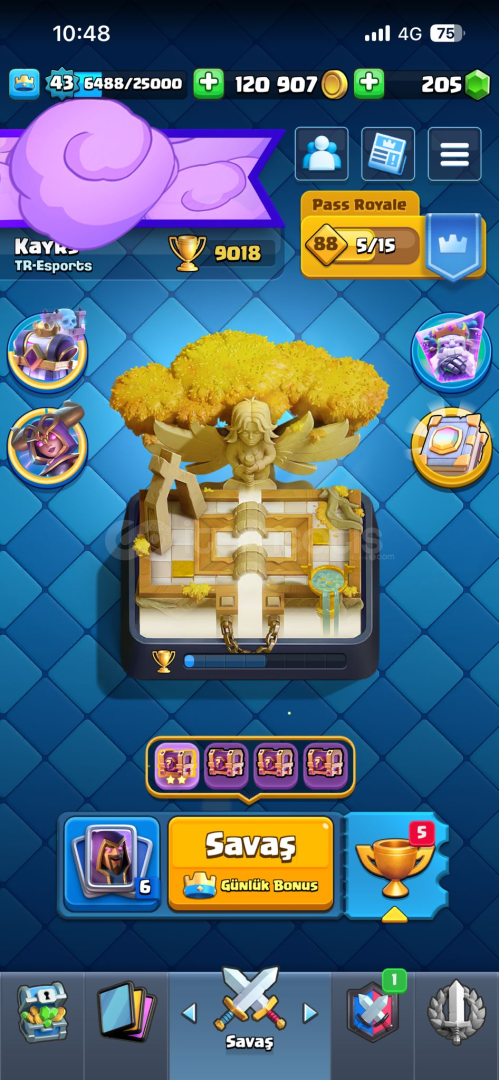 9 k kupa 7 evrim hesap