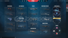 9 Skinli Mainlemelik valorant hesabı