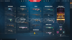 9 VANDAL +3000VP BULUNAN İLK MAİLLİ