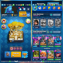 9031Kupa 116Kart 1Evrim 14İfade