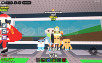 90M LOS COMBİNASİON