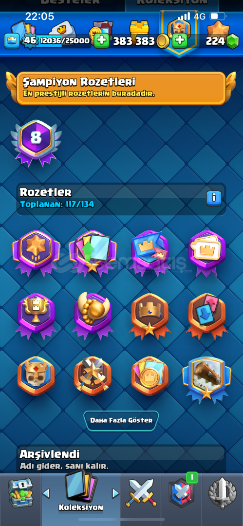 ⚡️9250 kupa 46 seviye 39 emot 8 evrim hesap⚡️