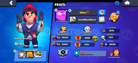 95K PRESTİJLİ 350+ SKİN AJAN COLT