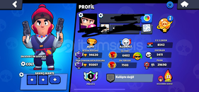 95K PRESTİJLİ 350+ SKİNLİ AJAN COLTLU BS 