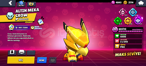 97 karaterli 8 efsanevili hesap 