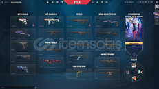 99LvL Valorant Hesabı Gold FECİ CHAR