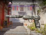 StatTrak™ USP-S | Cehenneme Bilet(Görevde Kul.)