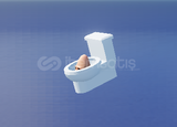 A Universal Time Toilet Mount