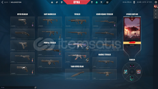 SİHİRPUNK VANDAL / SIRÇİÇEĞİ PHANTOMLU HESAP