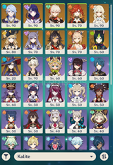 EU/AR56 19x5 Mavuika Bis Raiden Bis