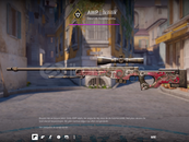 ⭐AWP | İkililik FT 