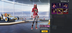 ACİL ! KORSAN ÜST MOR ÜST NADİR