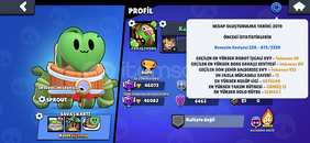 Bol Skinli Değerli Hesap