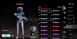 ACİL SATILIK! DESTANSI GÖSTERİŞ+NADİR