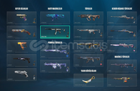 ACİL SATILIK DOPDOLU MAİNLEMELİK HESAP