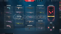 ACİL SATILIK HESAP ÇOK UYGUNA SAKIN KAÇIRMA