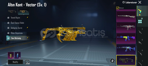 ACİL SATILIK HESAPTA DESTANSI MEVCUT 