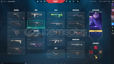 ACİL SATILIK MAİNLİK HESAP