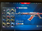 ACİL SATILIK !!!! PLAT ELO 5 6 SKİNLİ HESAP