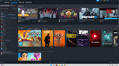 ACİL SATILIK STEAM HESABI CS2 SEÇKİN + RUST 