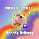ADM MFR MOOSE CALF (EN UCUZU)✅ ADM MFR MOOSE CALF (EN UCUZU)✅