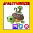 ADM MFR TORTUGA DE LA ISLA (EN UCUZU)✅ ADM MFR TORTUGA DE LA ISLA (EN UCUZU)✅