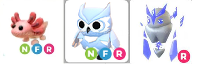 ADOPT ME 2 NFR 1 RİDE PET