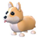 Adopt Me Corgi