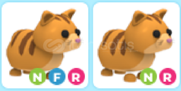 adopt me-2adet neon ginger cat