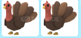 adopt me-2adet turkey