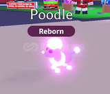 Adopt Me 2x Neon Poodle