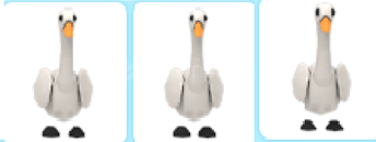 adopt me-3adet swan