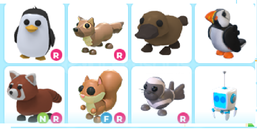 adopt me 8 adet ult rare pet uyguna