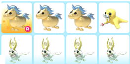 adopt me-8adet karısık leg pet