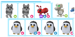 adopt me-8adet neon-normal karısık pet paket