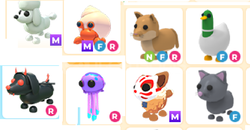 adopt me- 8adet pet paketı