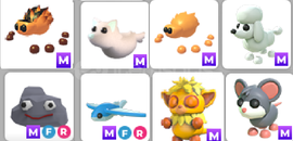 adopt me-8mega pet paketi adopt me-8mega pet paketi