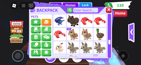 Adopt Me 90+ Exclusive Pets Seç Beğen Al