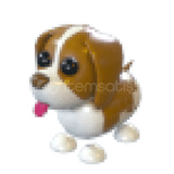Adopt Me Brown Springer Spanie