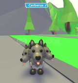 adopt me CERBERUS peti