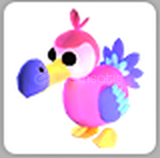 Adopt Me Dodo