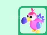 Adopt me Dodo (No Potion)