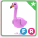 ADOPT ME FLAMINGO F R NADIR