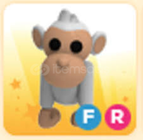 ADOPT ME FLY RİDE ALBİNO MONKEY
