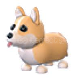 ADOPT ME FLY RİDE CORGİ