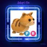 ADOPT ME FLY RİDE GİNGER CAT