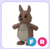 ADOPT ME FLY RİDE KANGAROO