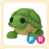 ADOPT ME FLY RİDE TURTLE